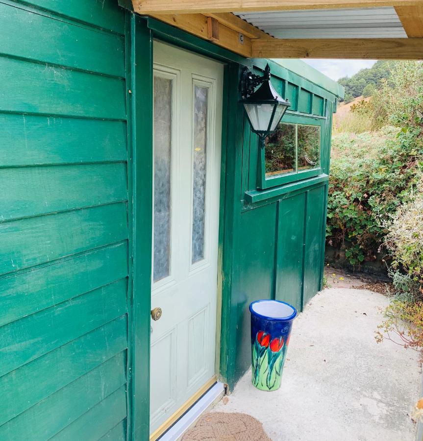 Tracy'S Boutique B&B Farmstay ウェルズフォード エクステリア 写真