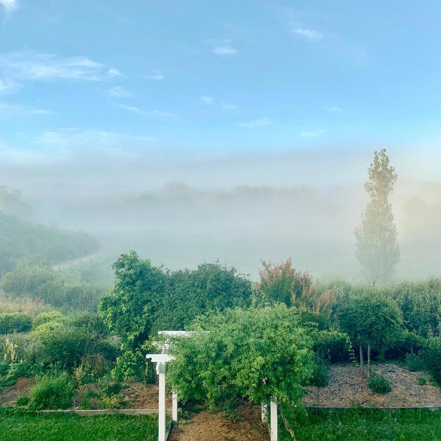 Tracy'S Boutique B&B Farmstay ウェルズフォード エクステリア 写真