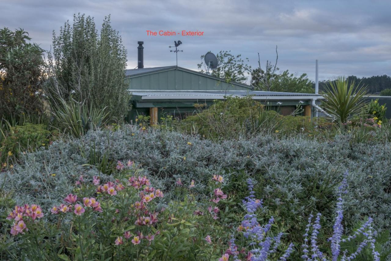 Tracy'S Boutique B&B Farmstay ウェルズフォード エクステリア 写真